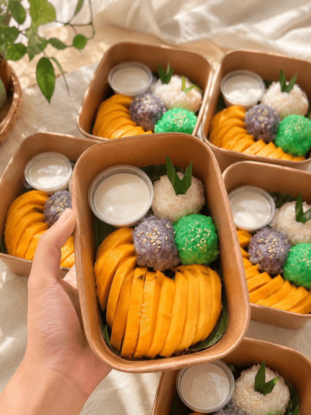 Mango Sticky Rice